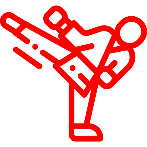 Icono
