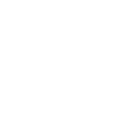 Icono