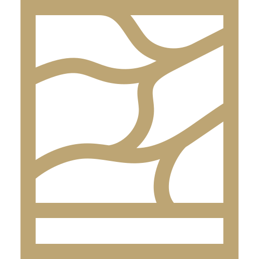 Icono
