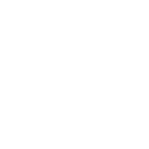 Icono