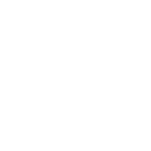 Icono