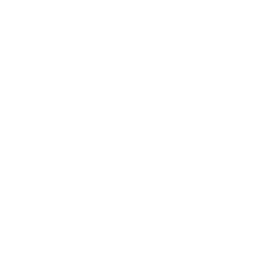 Icono
