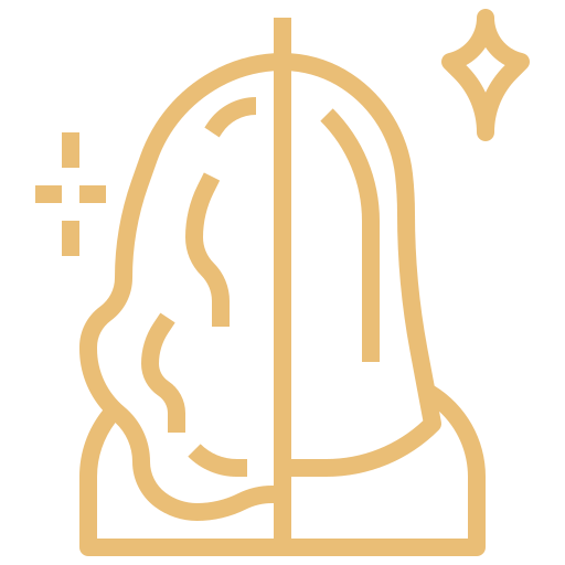 Icono