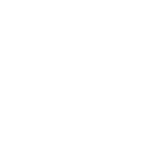 Icono