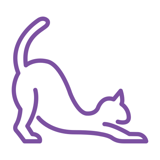Icono