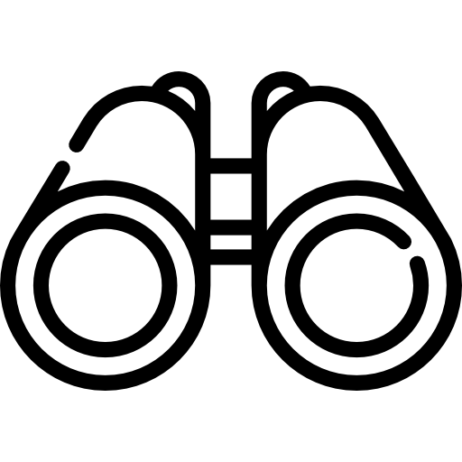 Icono