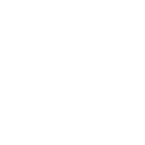 Icono