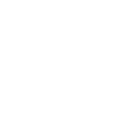 Icono
