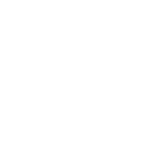Icono
